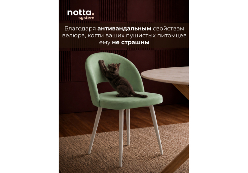 Стул на металлокаркасе Курбис 360 фисташковый (zd 651) / белый (48x55x85)
