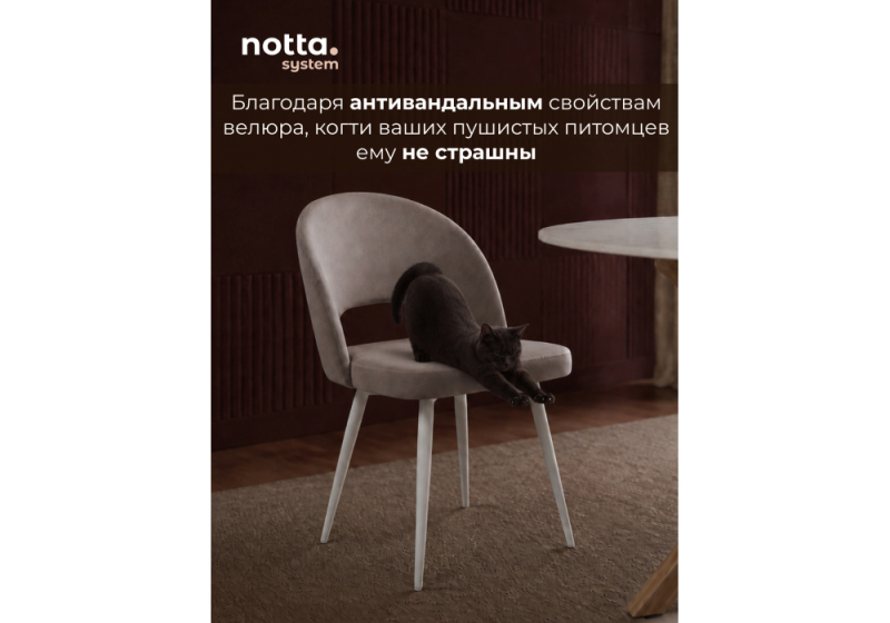 Стул на металлокаркасе Курбис латте (zd 290) / белый (48x55x85)
